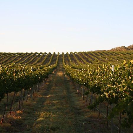 Mayfield Vineyard Orange Bagian luar foto