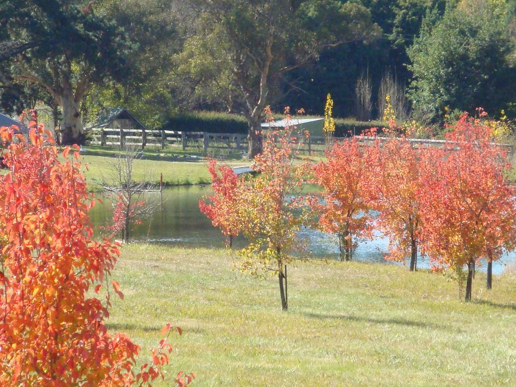 Mayfield Vineyard Orange Bagian luar foto