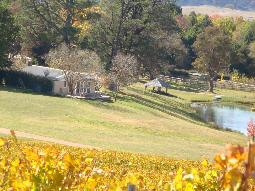 Mayfield Vineyard Orange Bagian luar foto