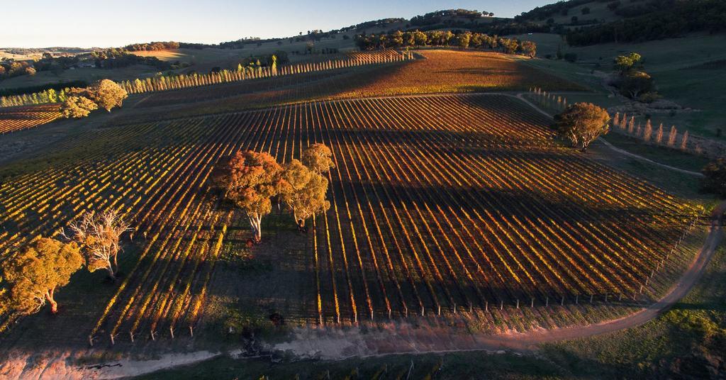 Mayfield Vineyard Orange Bagian luar foto