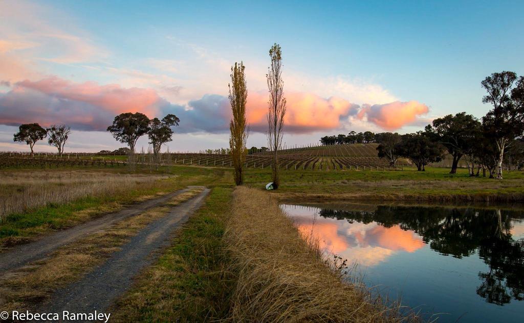 Mayfield Vineyard Orange Bagian luar foto